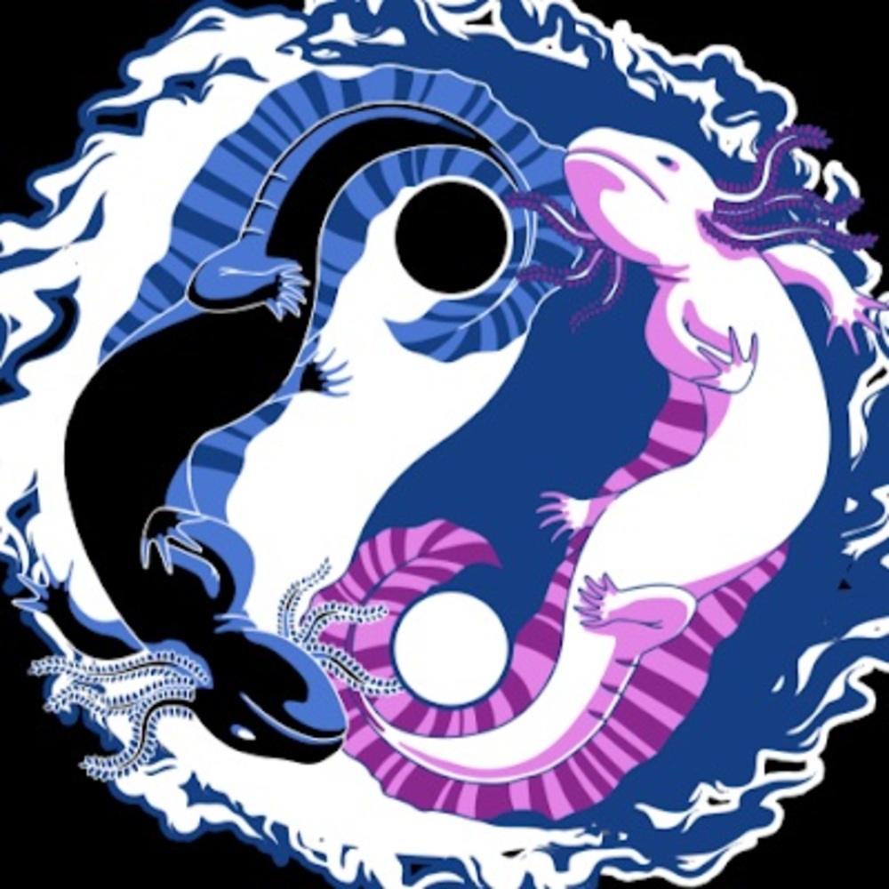 Meet your Posher, Lily